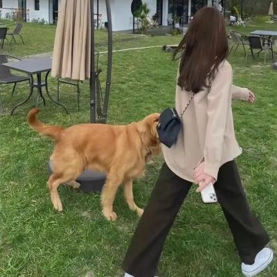 清醒梦之马桶睡美人